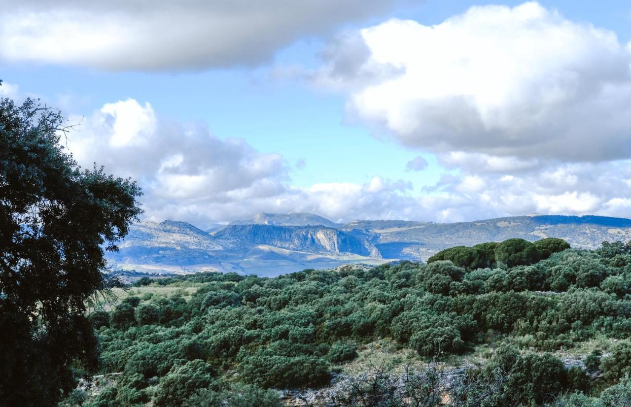 Los Pilares De Ronda Boutique & Hotel Kültér fotó