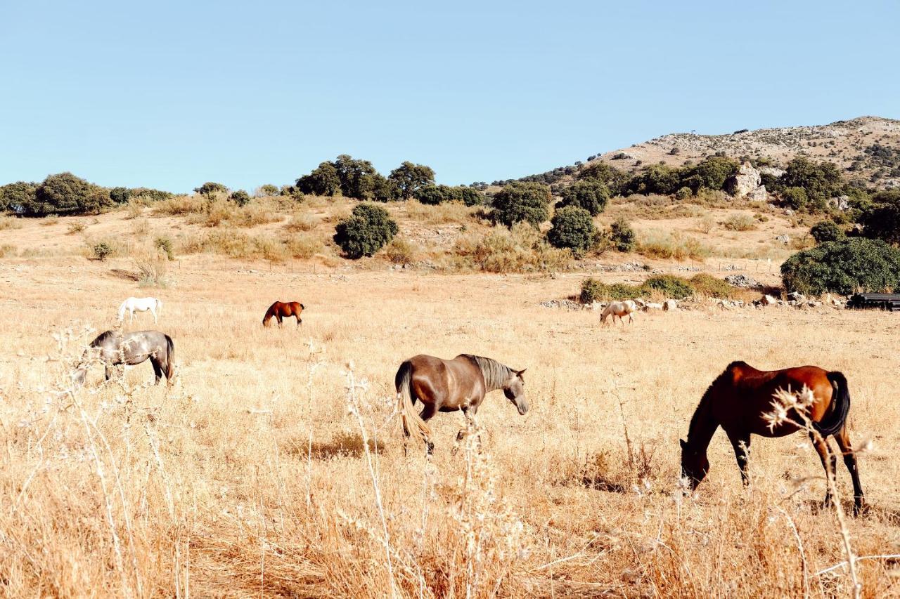 Los Pilares De Ronda Boutique & Hotel Kültér fotó